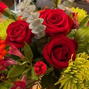 Meet your Posher, Maria